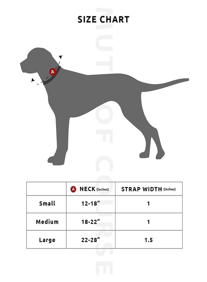 Mutt of Course طوق كلاب بنقشة الأزتك من Mutt of Course | محيط الرقبة: 18-22 بوصة (متوسط) | مناسب للكلاب متوسطة الحجم مثل البيغل، والكلاب الهندية، إلخ. - Image 4